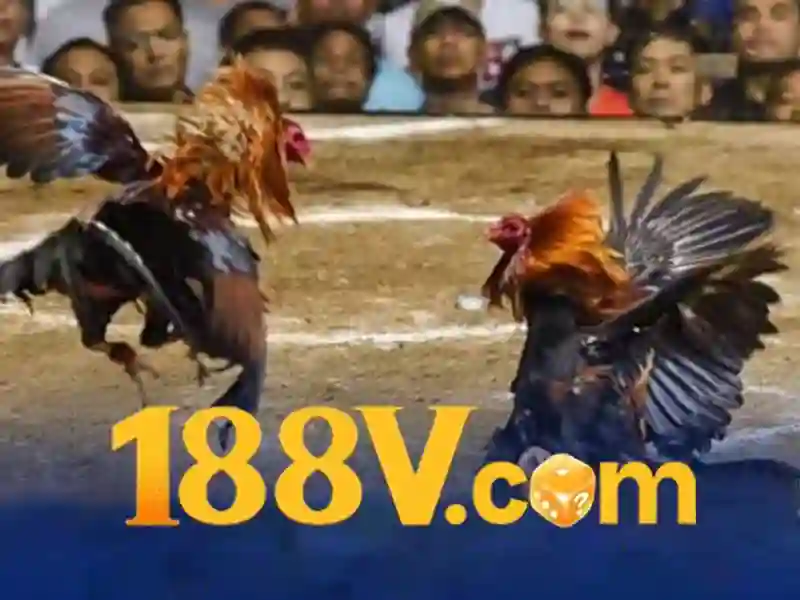 188v tài app – Trải nghiệm và đánh giá chi tiết