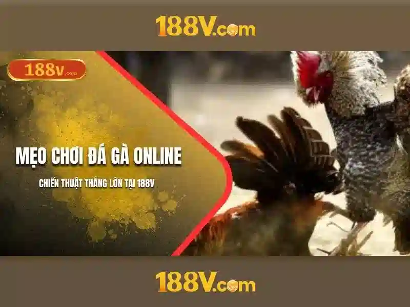 188v đang nhập – chủ đề và giá trị cốt lõi