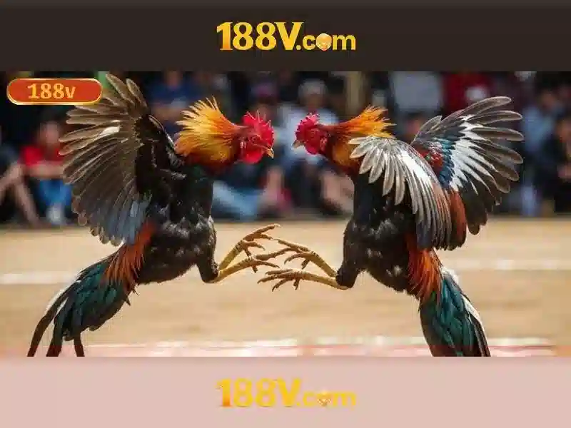 188v tài app - Tổng quan và trải nghiệm ấn tượng