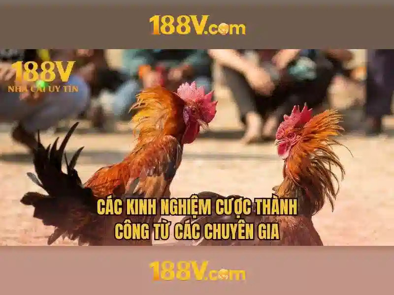 Đặc điểm điện áp 188V và sự an toàn\n\n<h3><b>Hướng dẫn kiểm tra và bảo dưỡng</b></h3>\n<li style=