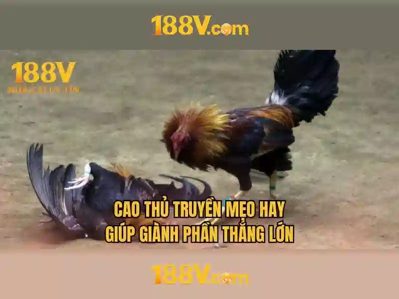 188v trang chủ – trải nghiệm game 188v và tải apk miễn phí