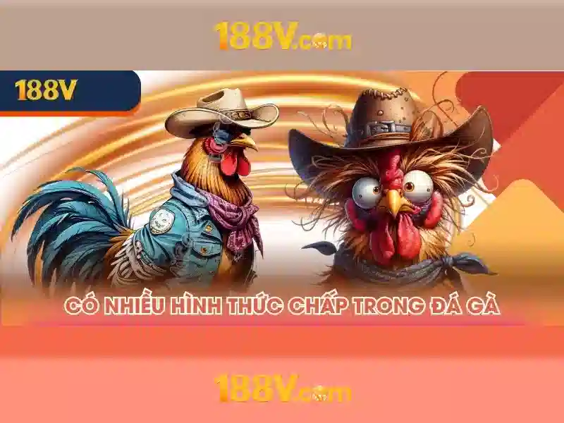 188v: Hành trình của nguồn năng lượng và ký ức đô thị