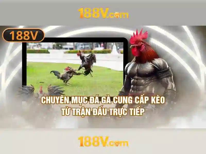 188v, Nền tảng đột phá cho trải nghiệm số và cộng đồng