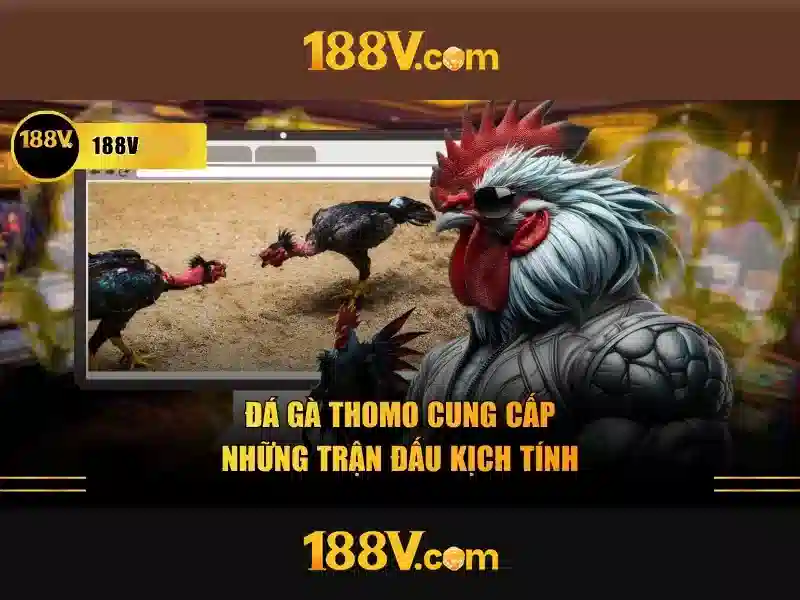 188v vip tong quan