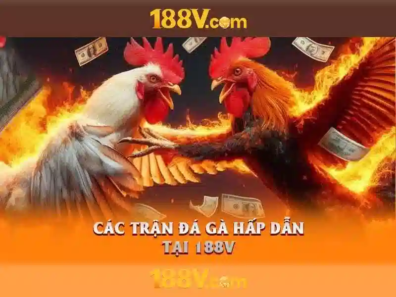 Khái niệm 188v