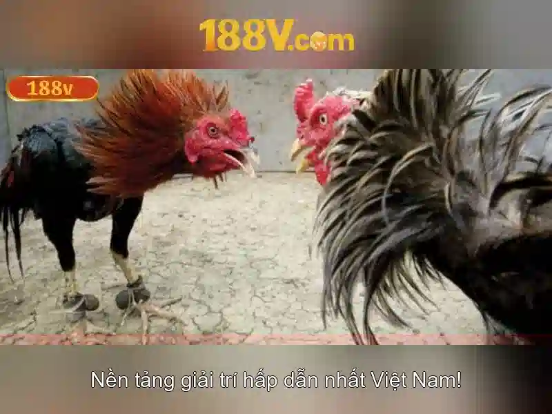 188v: một khái niệm về năng lượng và tương lai