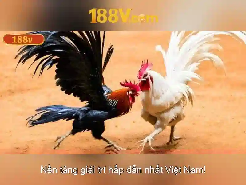 188v: một khía cạnh của điện áp và sáng tạo