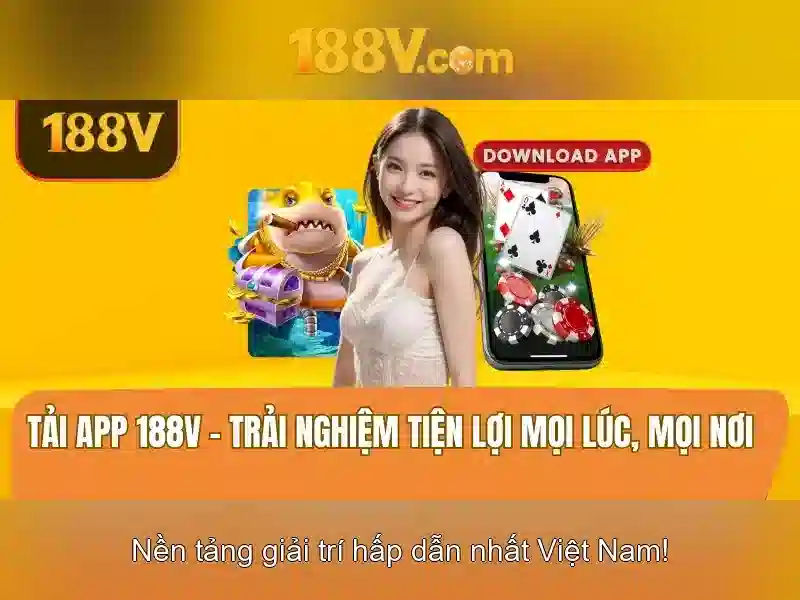 Vấn đề an toàn và quản lý rủi ro
