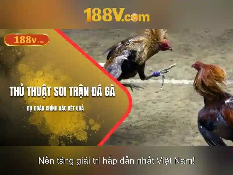 Ảnh hưởng và ứng dụng trong đời sống