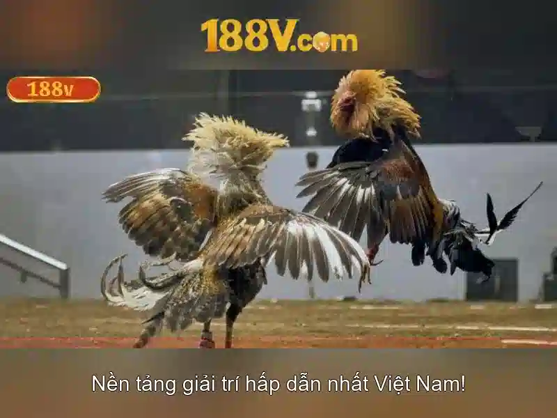 188v: một hành trình khám phá khái niệm và công nghệ liên quan