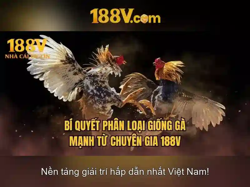 188v: Hành trình khám phá điện áp 188v
