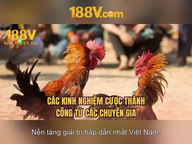 Ứng dụng và câu chuyện\n<h>Kết luận</h>\n<li style=
