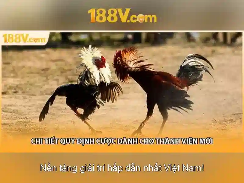 Ứng dụng phổ biến