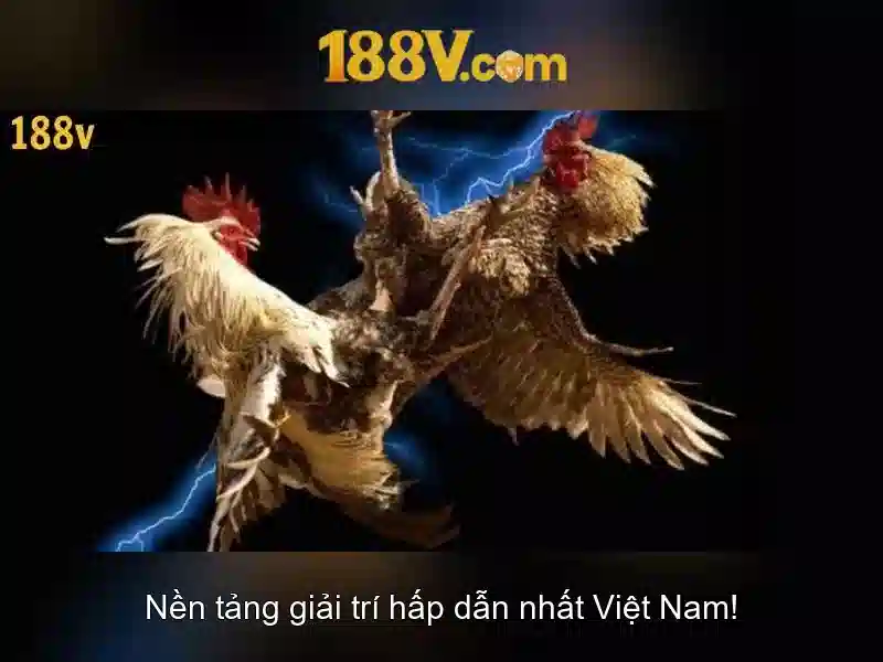 188v: Hành trình giữa số và không gian