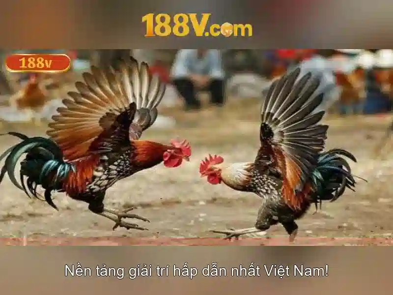 Khám phá 188V: An toàn, Ứng dụng và Hiệu suất