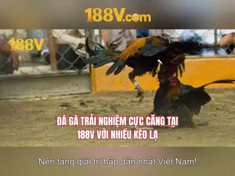 188v - Khái niệm và tầm ảnh hưởng