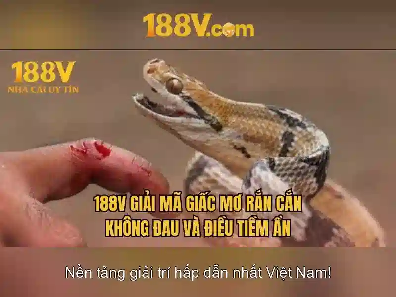 188v: khái niệm và bối cảnh