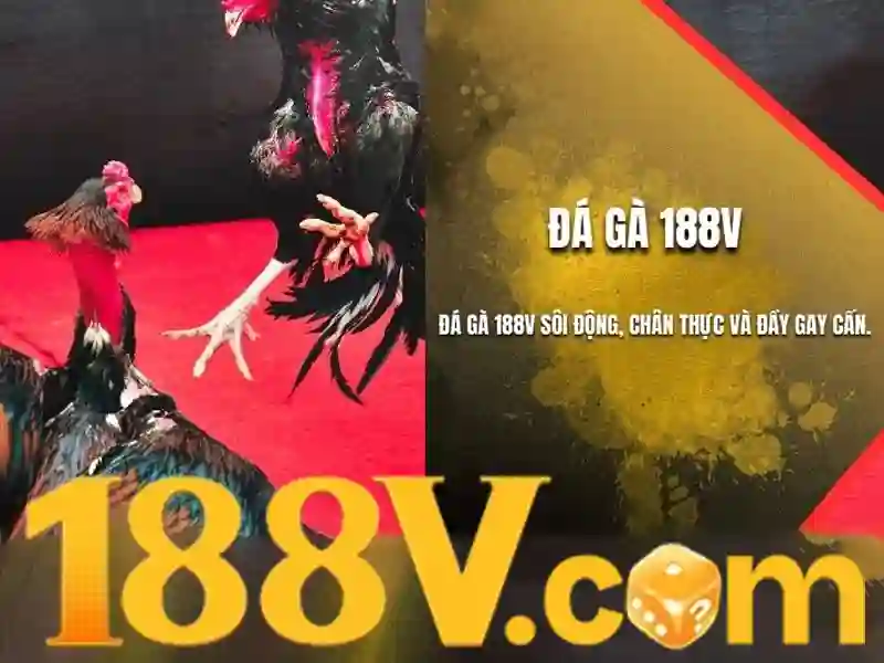 link 188v – Khai phá tiềm năng SEO và trải nghiệm người dùng