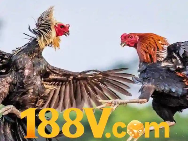 188v chính thức – Câu chuyện thương hiệu, trải nghiệm và tương lai