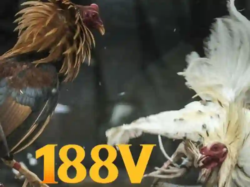 188v: ky hieu so va nghe thuat