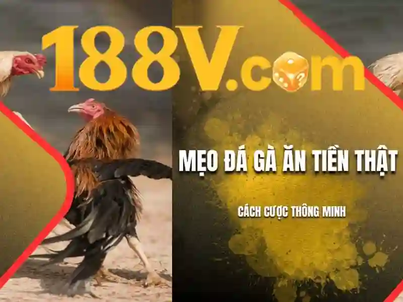Nguồn gốc và Sứ mệnh