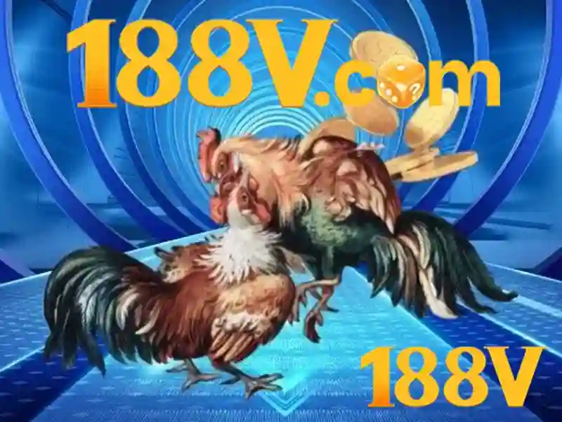 Các sản phẩm chính và dịch vụ