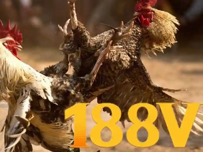 188v có lừa đảo không? Đánh giá uy tín và an toàn