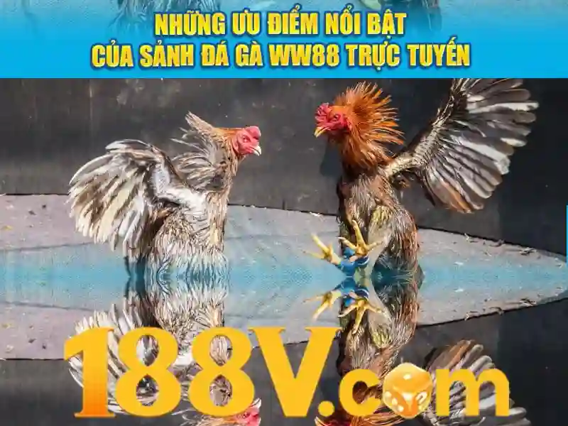 188v – Dẫn đầu trải nghiệm công nghệ đột phá và thương hiệu